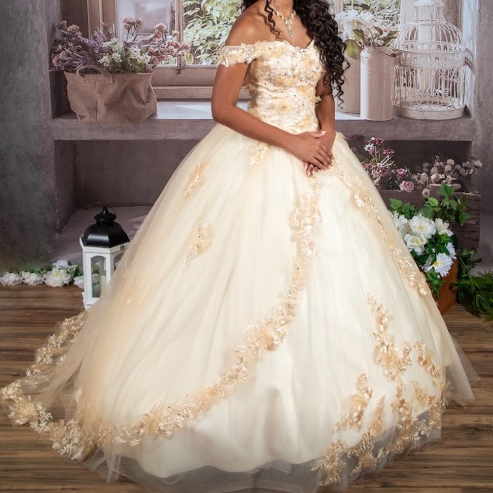 Quinceañera Dress Prom Corset And W/ Petticoat (x2)